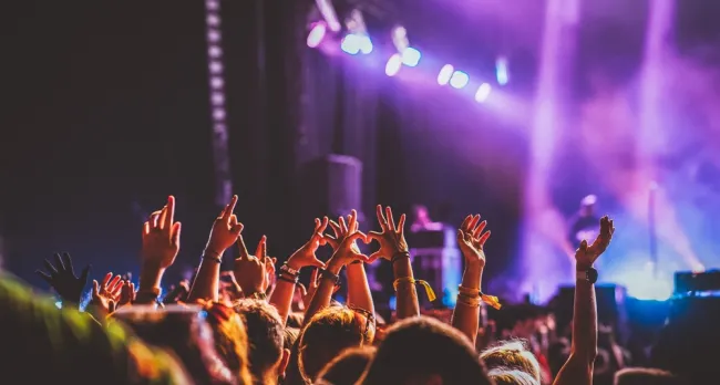 Excited festival-goers enjoying a summer music festival, with hands raised and vibrant stage lights, emphasizing the importance of security and safety.