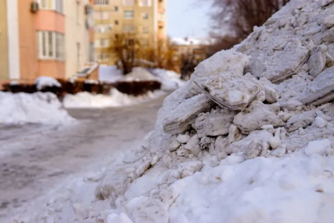 snow on the ground