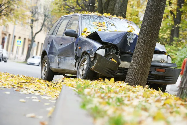 Car crashed into a tree